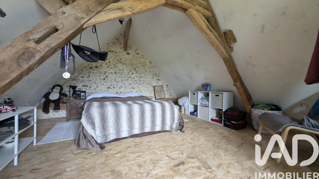 Toad - Charming Cottage with Barn in Chemillé-sur-Dême
