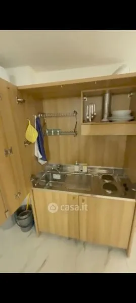Cuisine - Fully Furnished Studio in Ponsacco