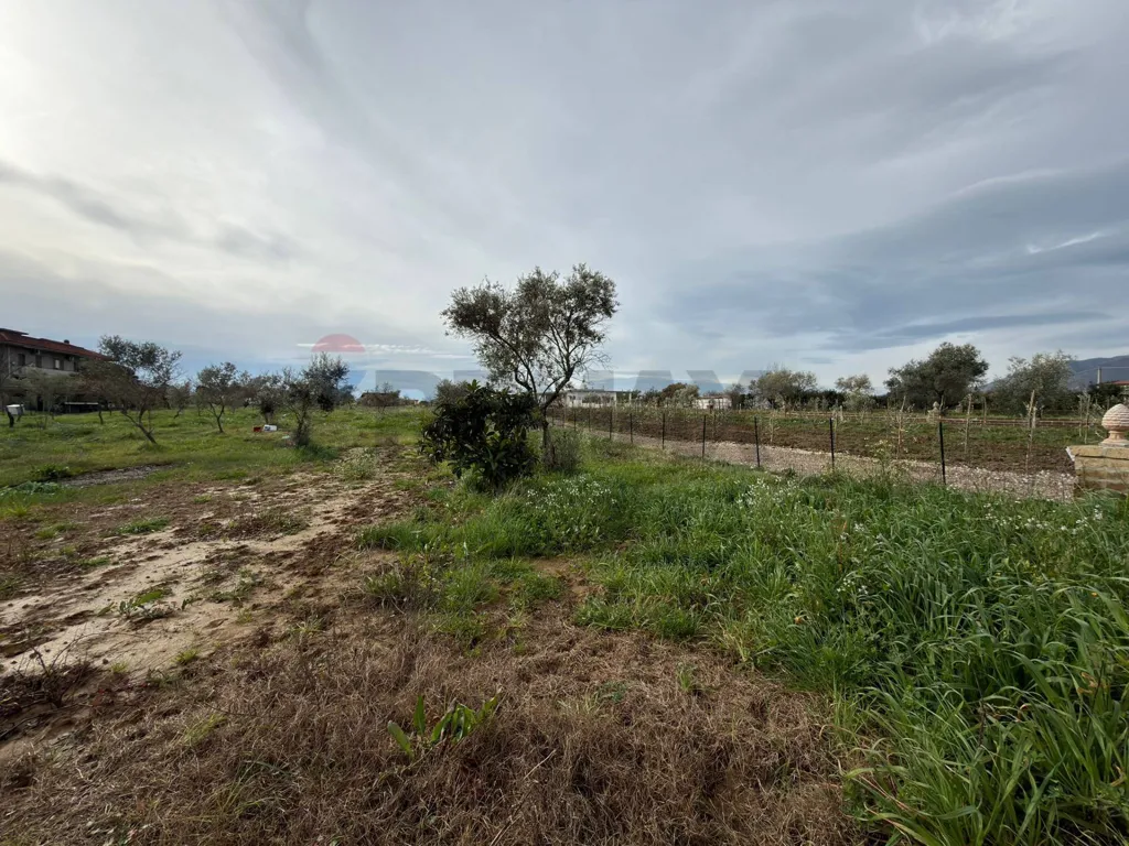 Jardin - Agricultural Land with Olive Trees in Formia