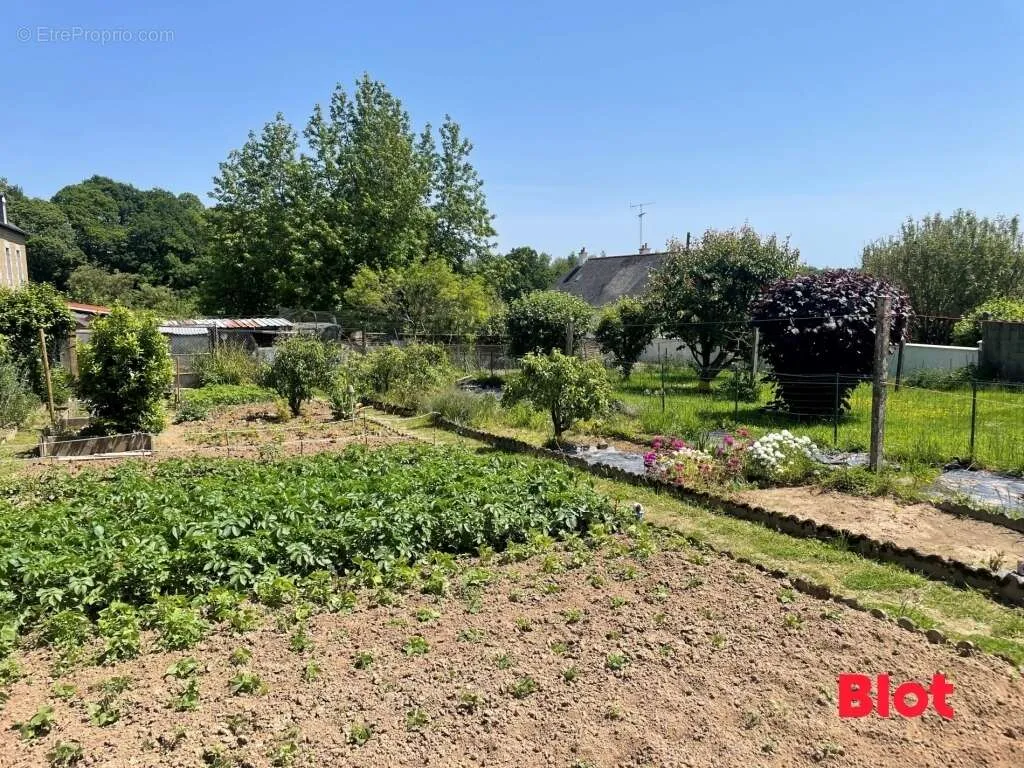 Jardin - Terrain à Fougeres, Proche Commerces