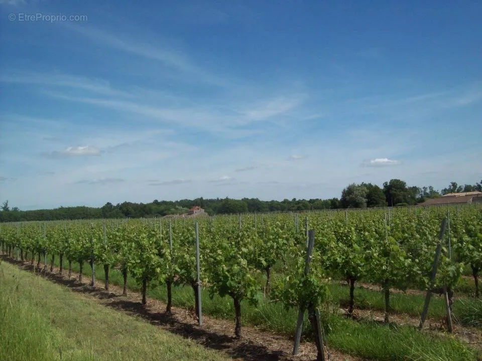 Jardin - Terrain à Lugon-Et-L'ile-Du-Carnay