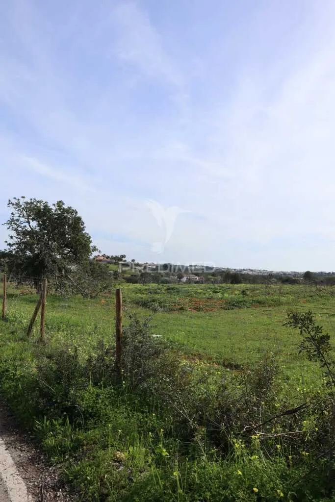 Jardin - Agricultural Land with Fruit Trees in Albufeira