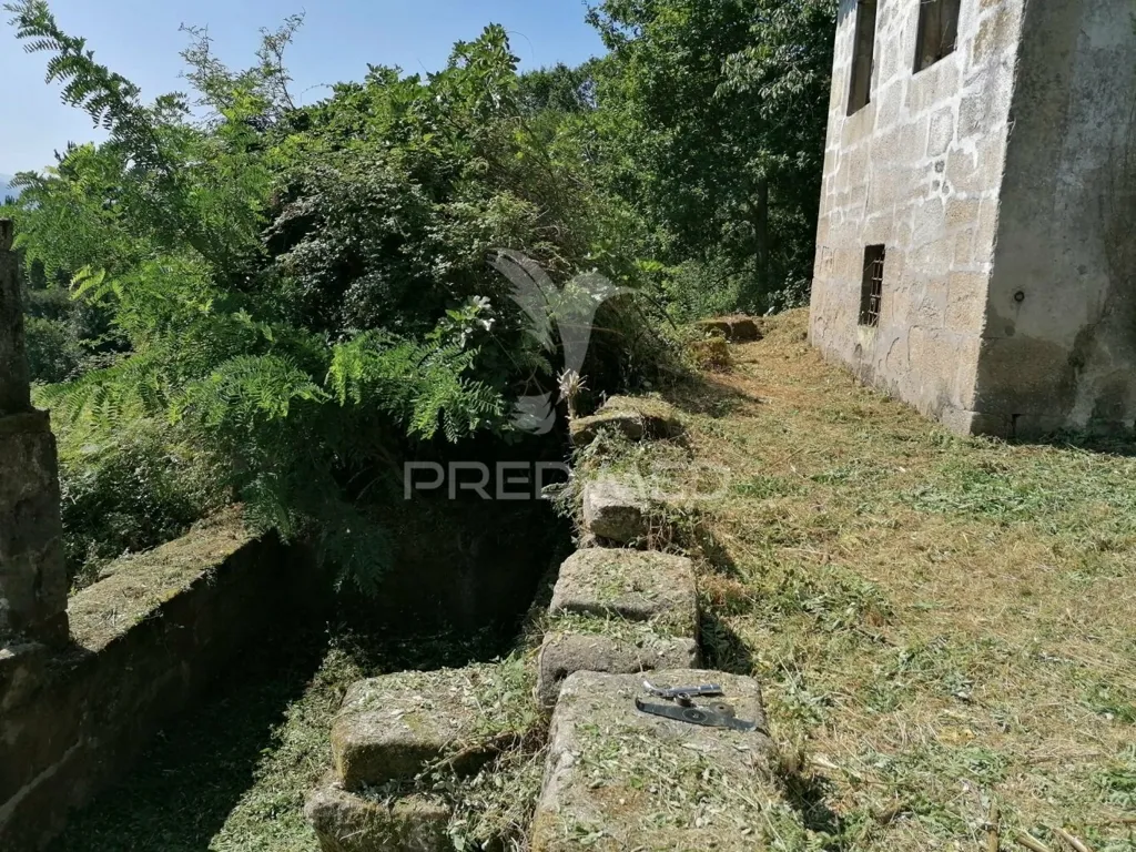 Aed - Rural Quinta with Olive Trees in Douro Region