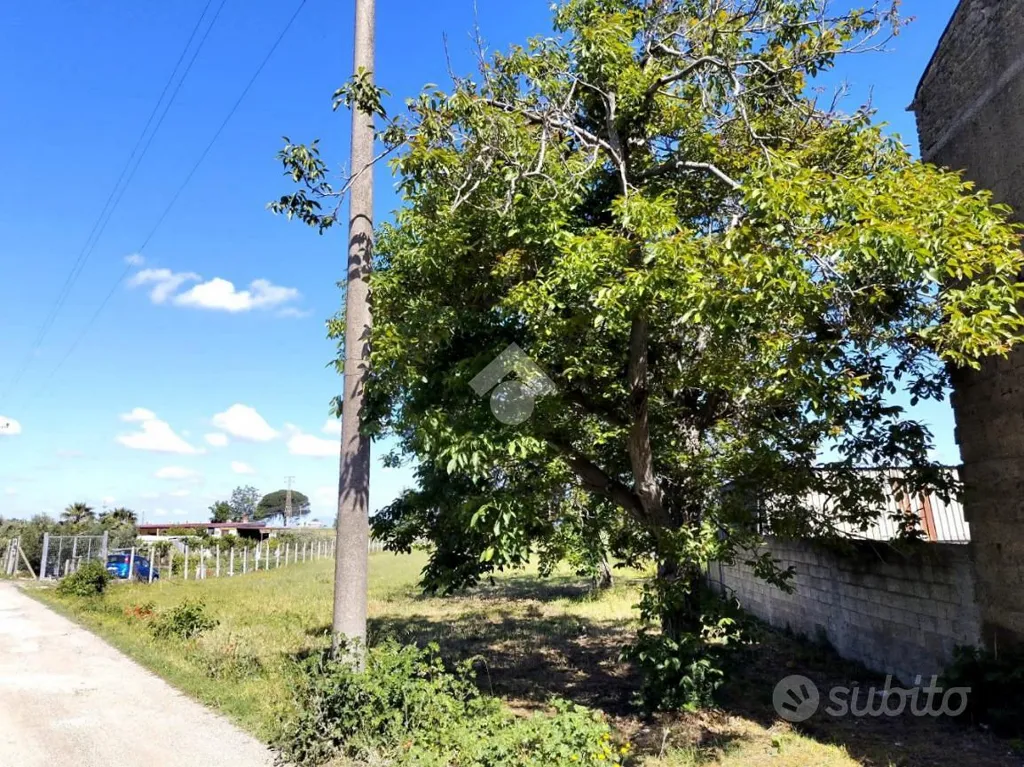Jardin - Buildable Plot with Potential in San Felice a Cancello