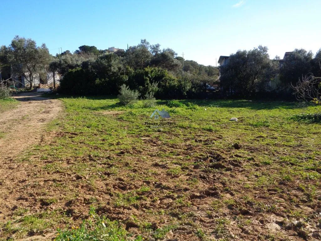 Jardin - Luxury House with Garden in Loulé