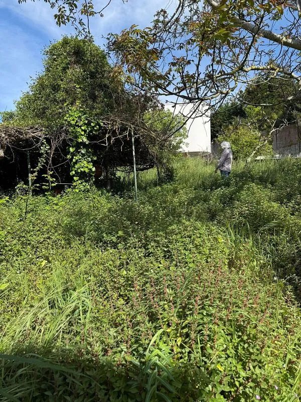 land_plot