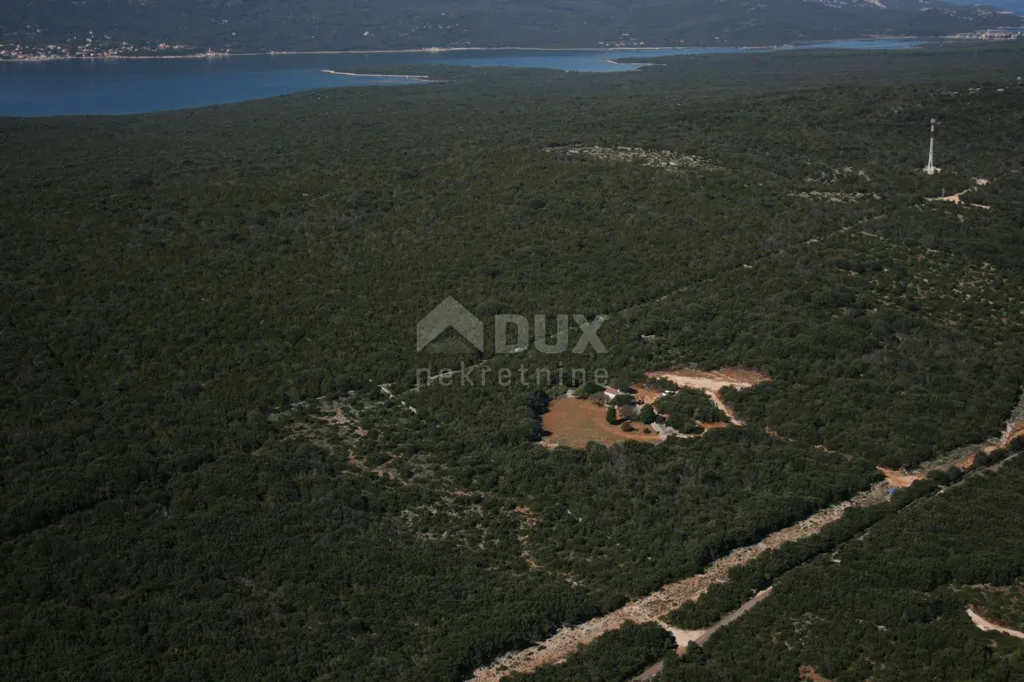 Vista aerea - House with Forest View in House Cres
