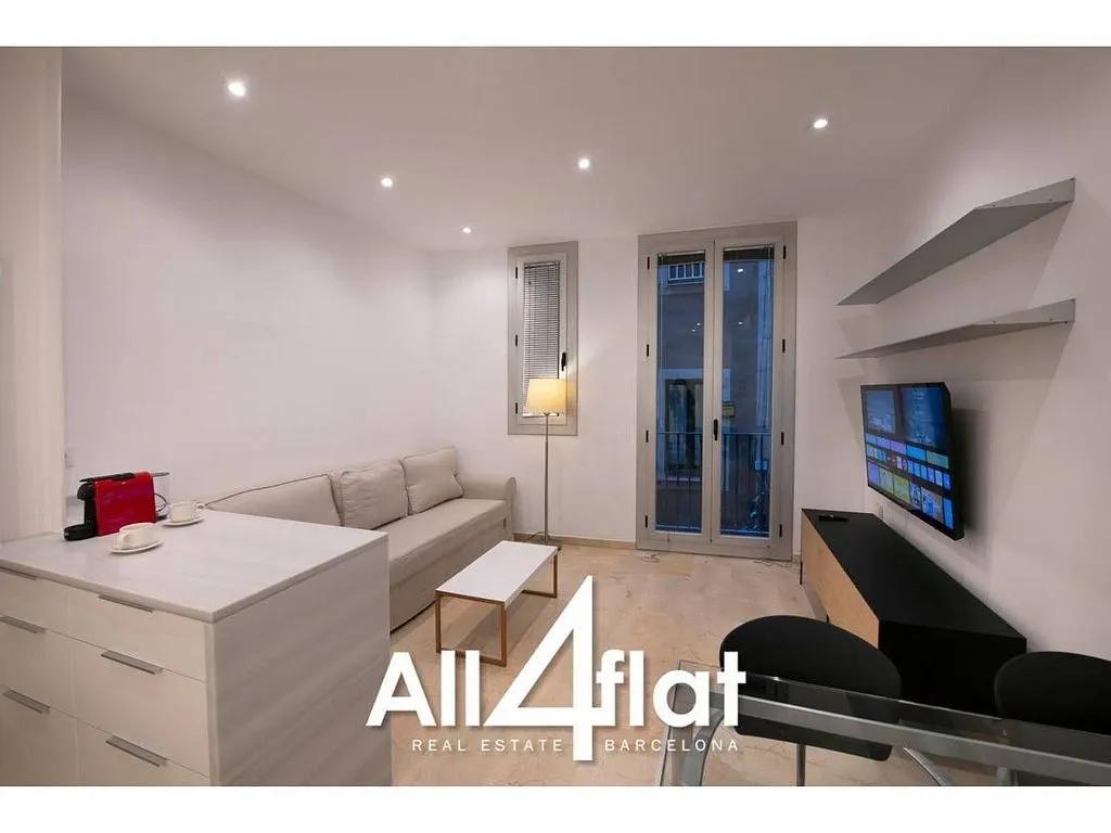 Elutuba - Studio with South Orientation in Sant Pere, Barcelona