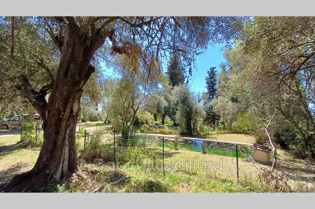 Jardin - Maison Traditionnelle avec Oliviers à Cabris