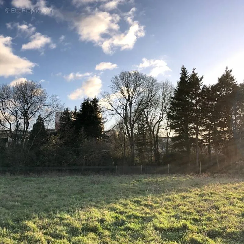 Aed - Buildable Plot with Garden View in Fercé-sur-Sarthe