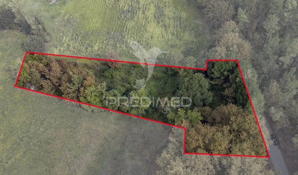 Vue aérienne - Agricultural Land with Construction Viability in Lage