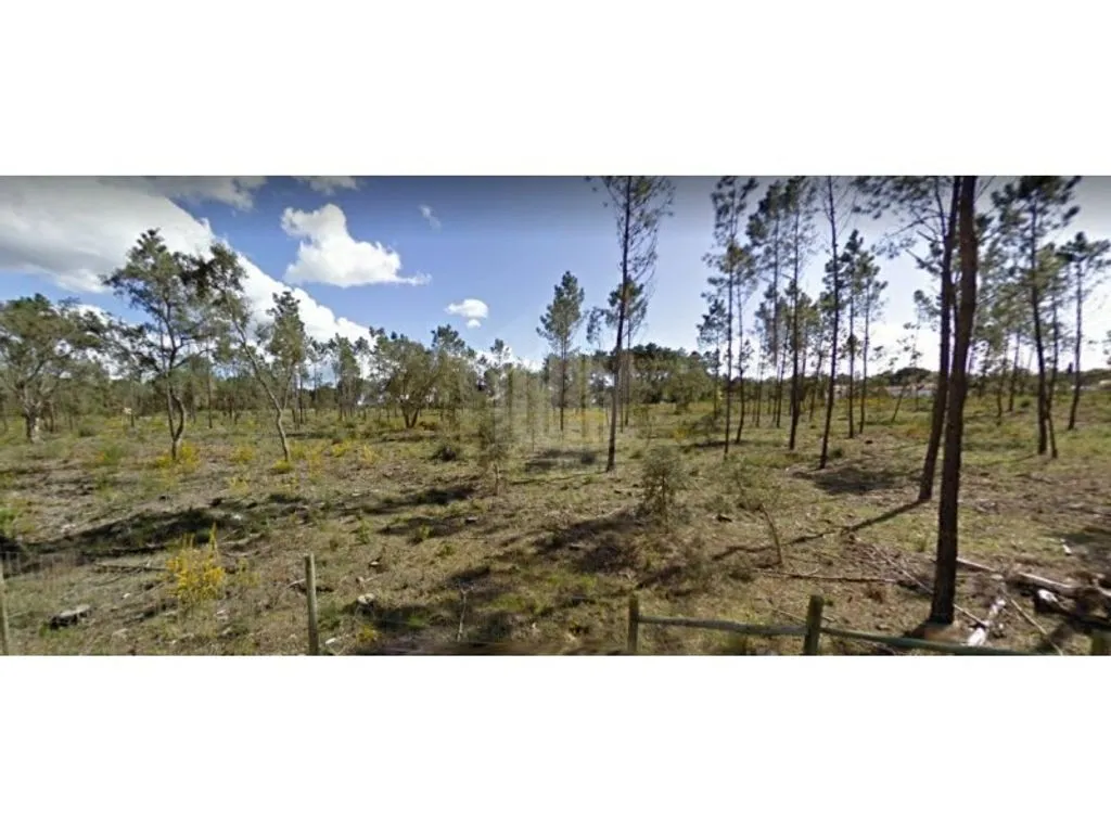 Garden - Urban Land with Construction Potential in Charneca da Cotovia
