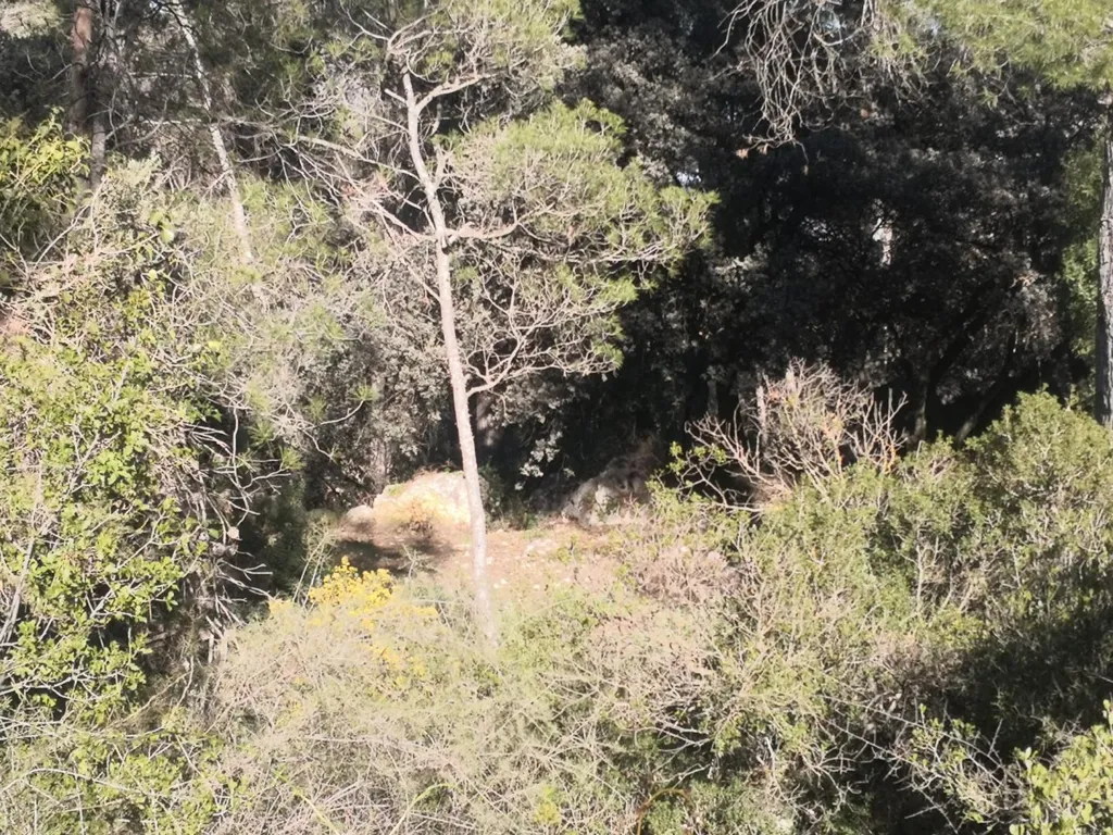 Aed - Detached House with Land in Sierra de Mariola