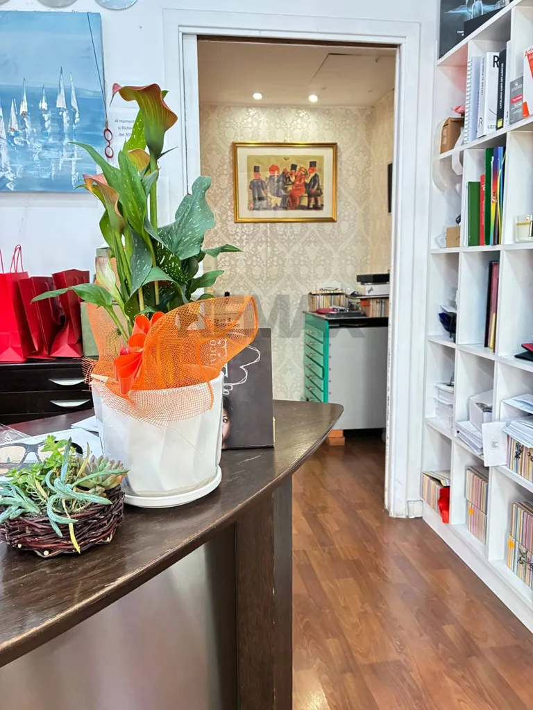 Studio - Optical Business in Appio Latino, Rome