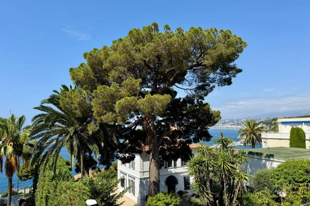Terrass - Sea View Apartment in Nice