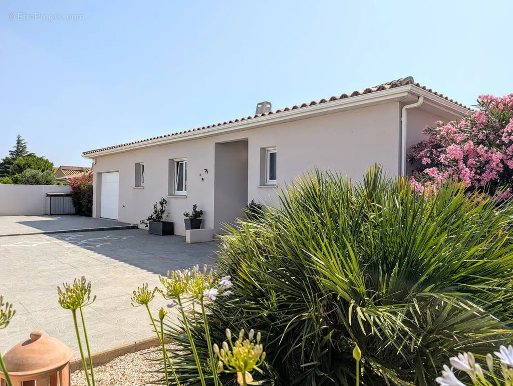 Välivaade - Luxury Villa with Pool in Canet