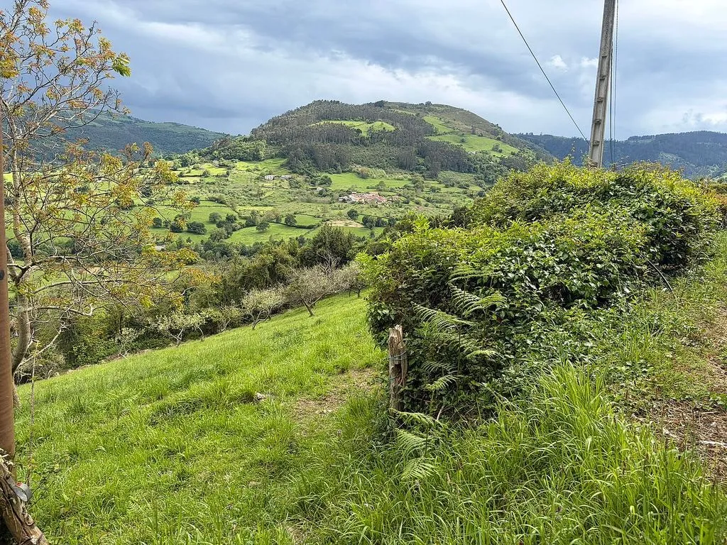 land_plot