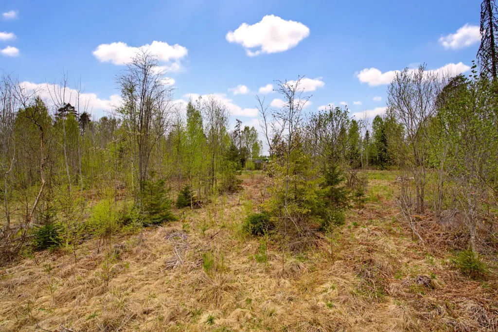 Jardin - Spacious Plot with Natural Setting in Vaxmyra
