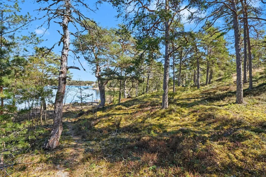 Jardin - Cottage with Sauna in Ängsö, Nauvo