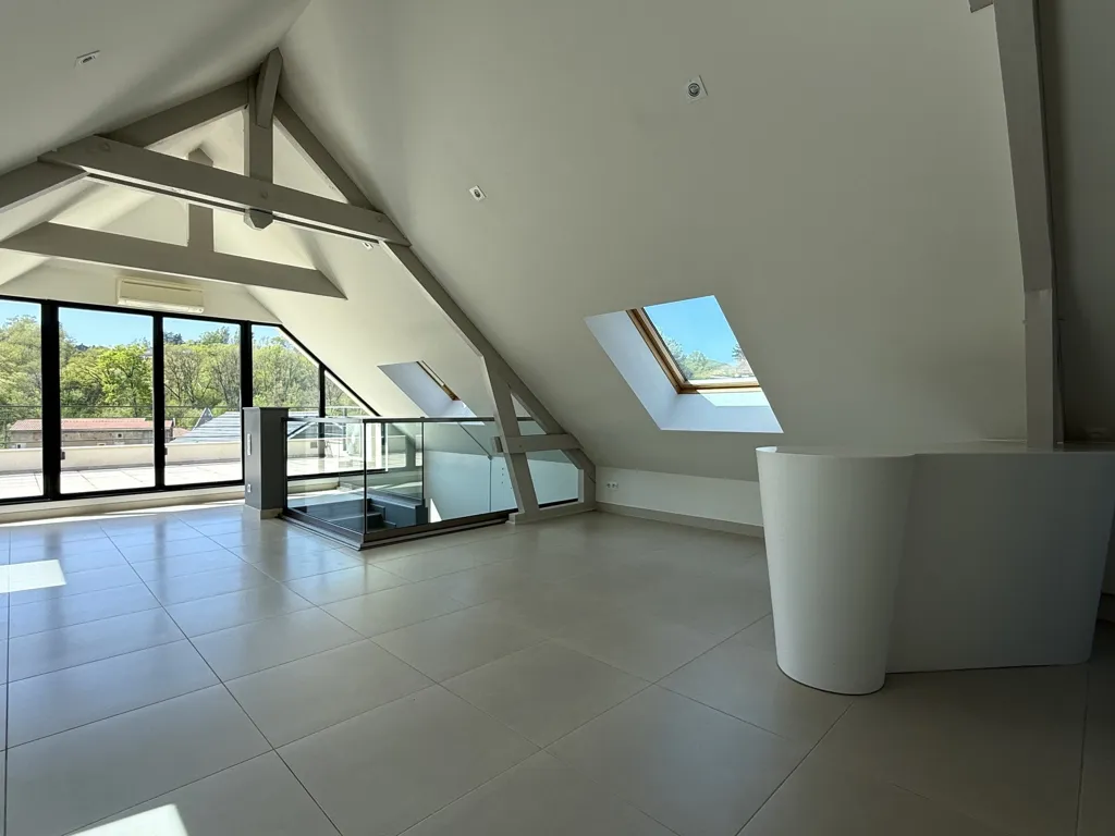 Toad - Attic Apartment with Terraced Garden in Châtel-Saint-Germain