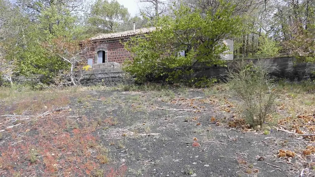 Aed - Rustic Cottage with Lava Terrain in Nicolosi
