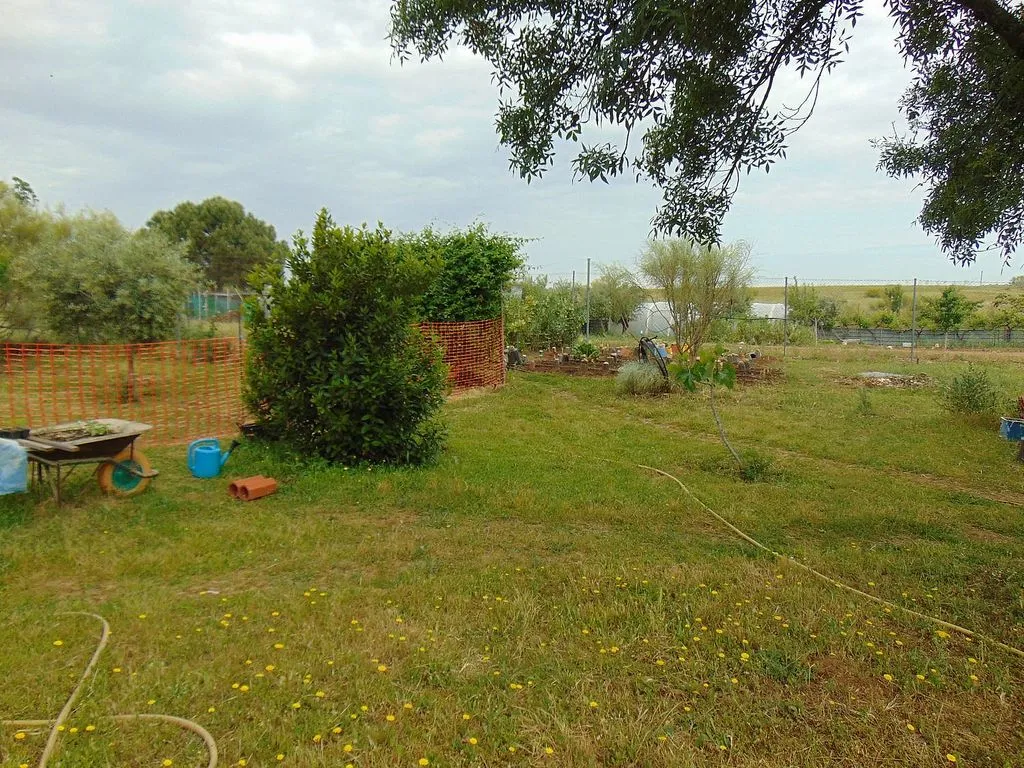 Jardin - Chalet with Finca in Alcaudete de La Jara