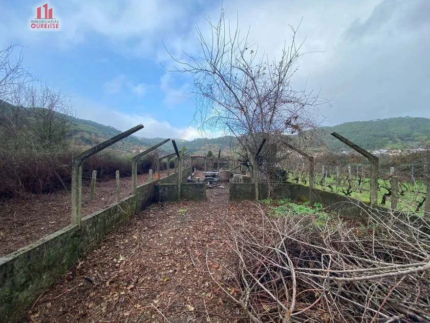 Jardin - Rustic Finca with River Views near Ribadavia