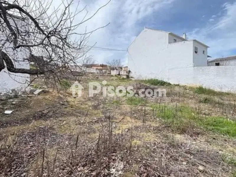 Garten - Chalet with Patio in Ventorros de San José