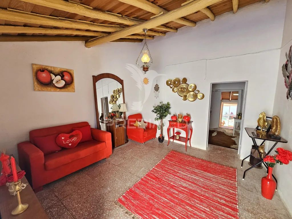 Séjour - T2 House with Alentejo Charm in Ourique