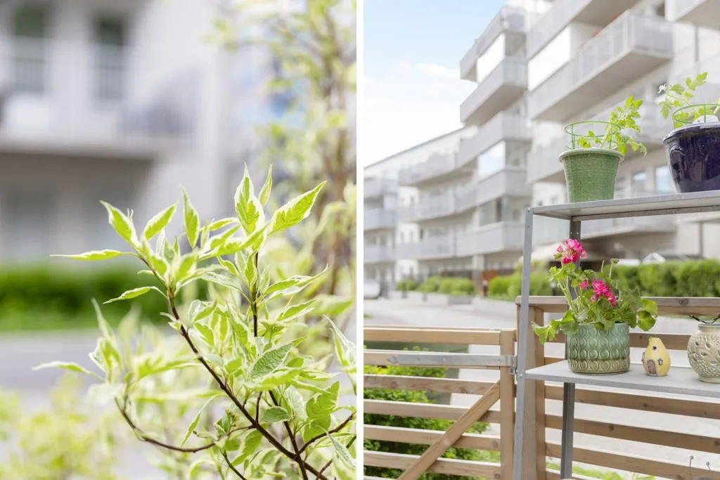 Balcon - Apartment with South-Facing Terrace in Rissne