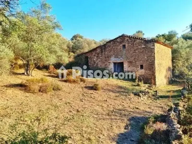 Välivaade - Rustic House with Olive Grove in La Nava