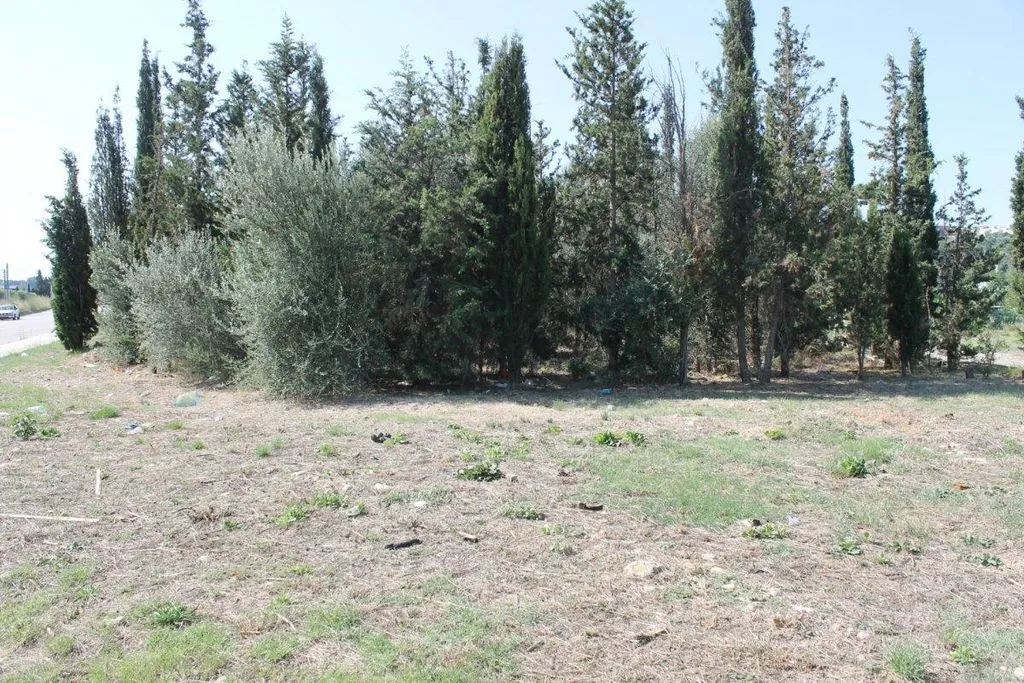 Jardin - Industrial Land in Olesa de Montserrat