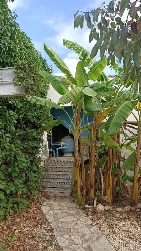 courtyard