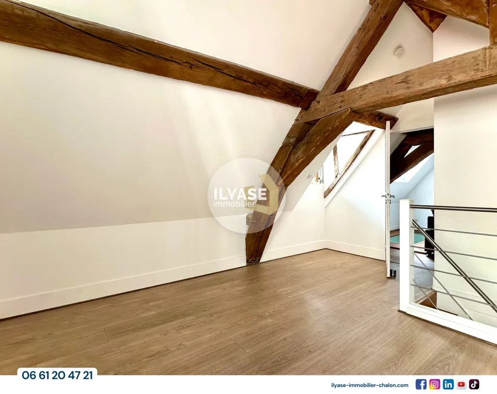 Toad - Character Duplex with Mezzanine in Chalon-sur-Saône