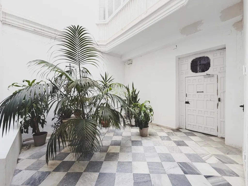 Jardin - Historic Flat with Balcony in Plaza España