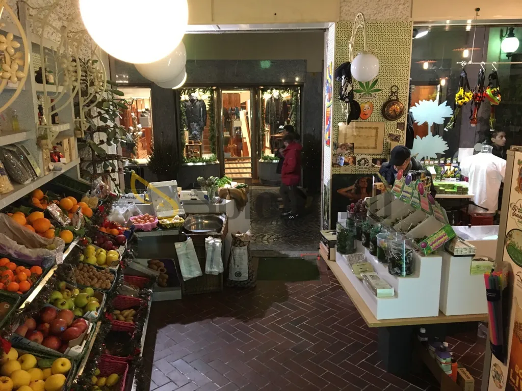 Toad - Shop with Two Windows in City Centre