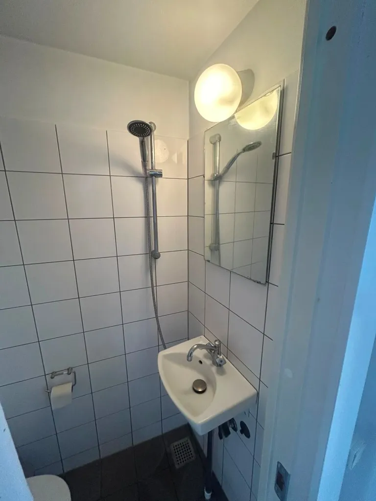 Bathrooms - 1-Bedroom Flat with Central Location in Copenhagen