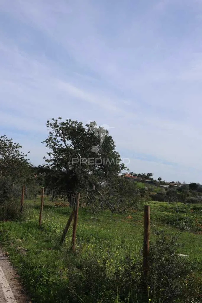 Jardin - Agricultural Land with Fruit Trees in Albufeira
