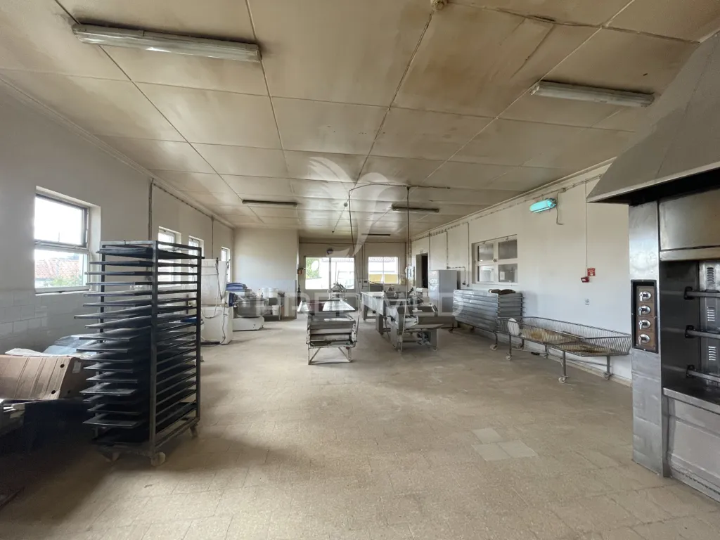 Cuisine - Industrial Unit with Bakery in Urzelina