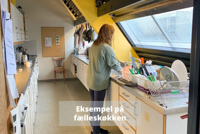 Cuisine - Two-Bedroom Flat with Pets Allowed in Brabrand