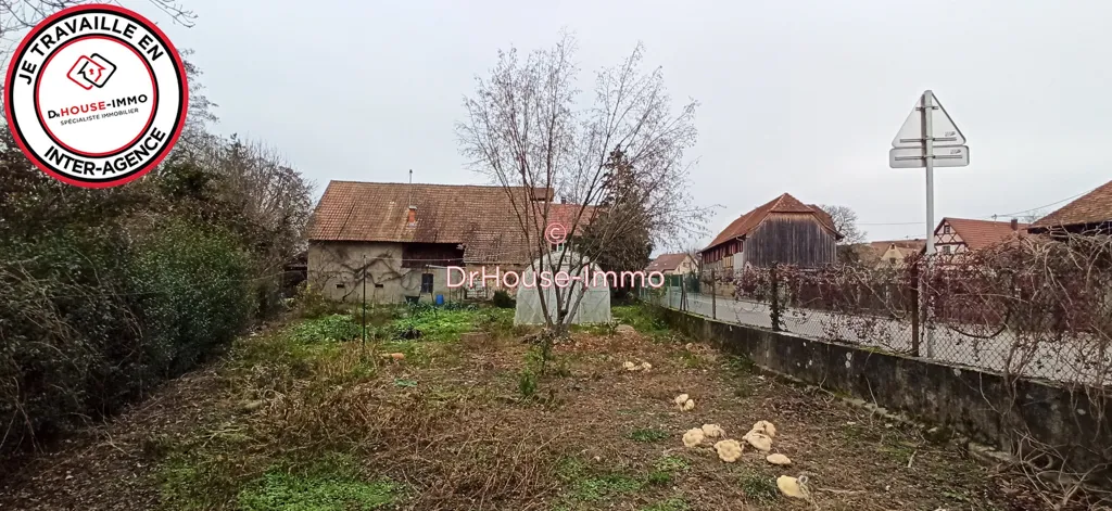 Jardin - Maison Traditionnelle avec Grange à Landser