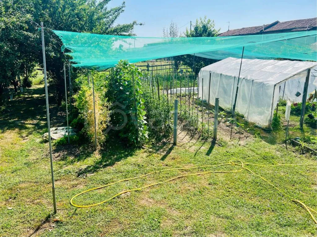 Jardin - Villa with Private Garden in Costigliole Saluzzo