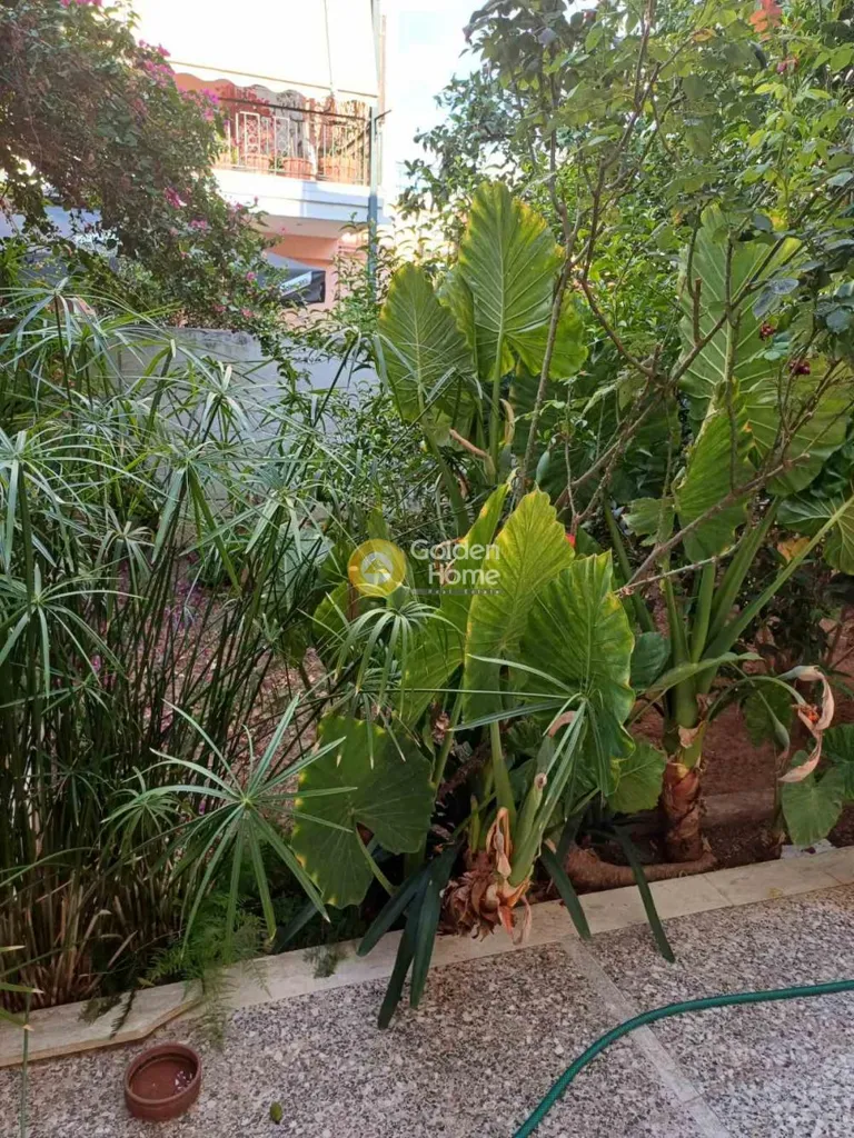 Aed - Two-Storey Building with Garden in Ilioupoli Centre