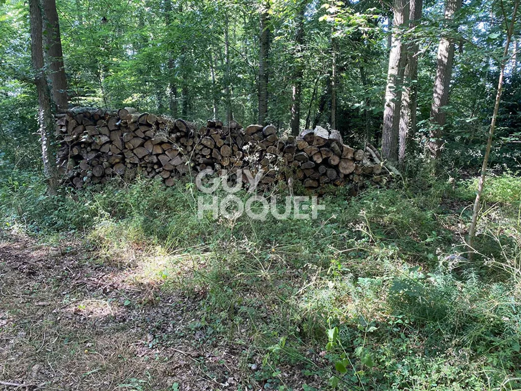 Giardino - Spacious House with Large Garden in Quiet Setting