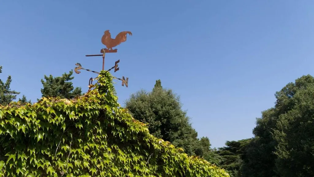 Aed - Napoleonic Villa with Pool in Livorno Hills