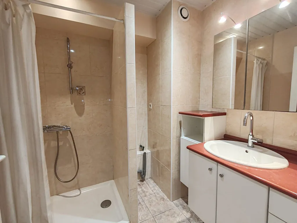 Bathrooms - Bright T2 with Green Terrace in Rodez