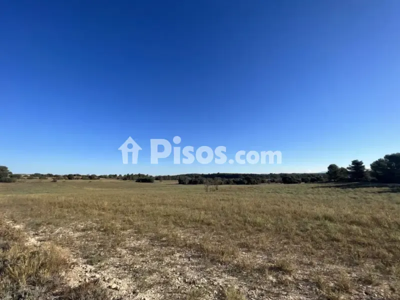 Jardin - Historic Finca with Vineyards in Requena