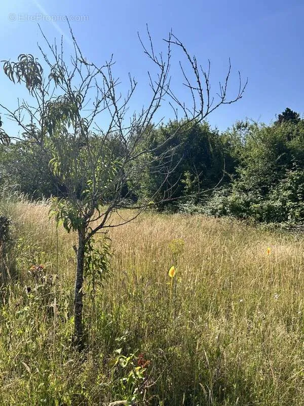Aed - Constructible Plot with Garden View in Saint-Jean-Le-Blanc