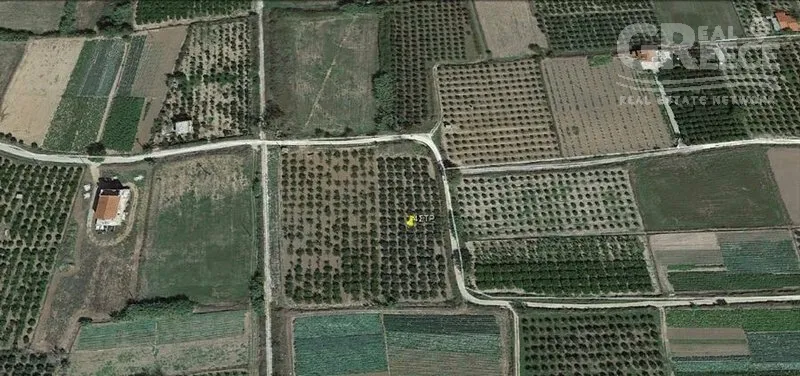 Õhuvaade - 4-Acre Olive Grove in Skaftidaki, Argos