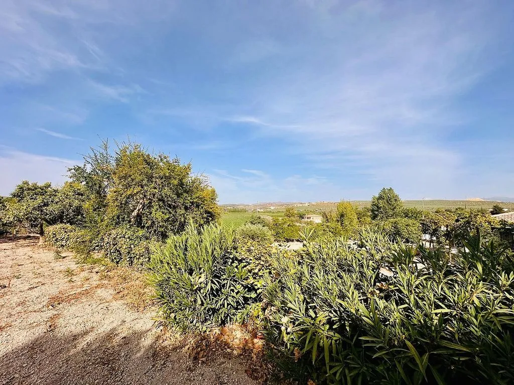 Jardin - Rural Cortijo with Pool near Loja